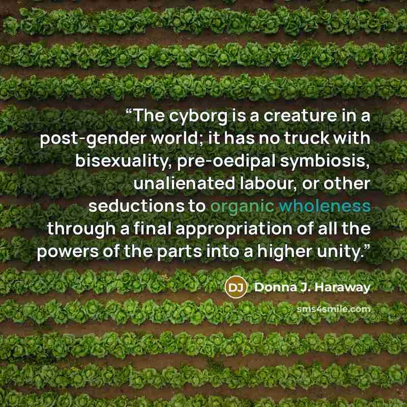 “The cyborg is a creature in a post-gender world; it has no truck with bisexuality, pre-oedipal symbiosis, unalienated labour, or other seductions to organic wholeness through a final appropriation of all the powers of the parts into a higher unity.” quote by Donna J. Haraway