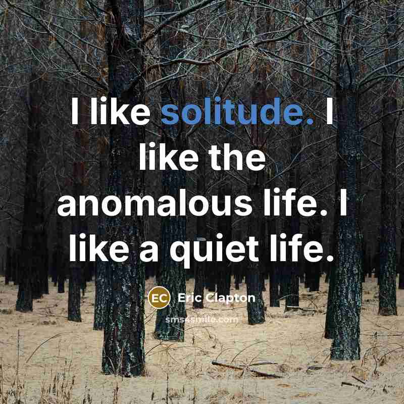 “I like solitude. I like the anomalous life. I like a quiet life.” quote by Eric Clapton