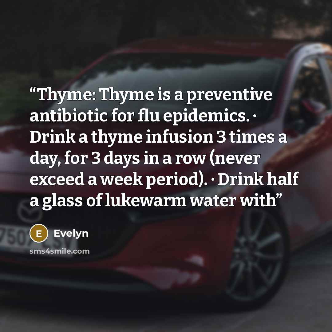 “Thyme: Thyme is a preventive antibiotic for flu epidemics. · Drink a thyme infusion 3 times a day, for 3 days in a row (never exceed a week period). · Drink half a glass of lukewarm water with” quote by Evelyn
