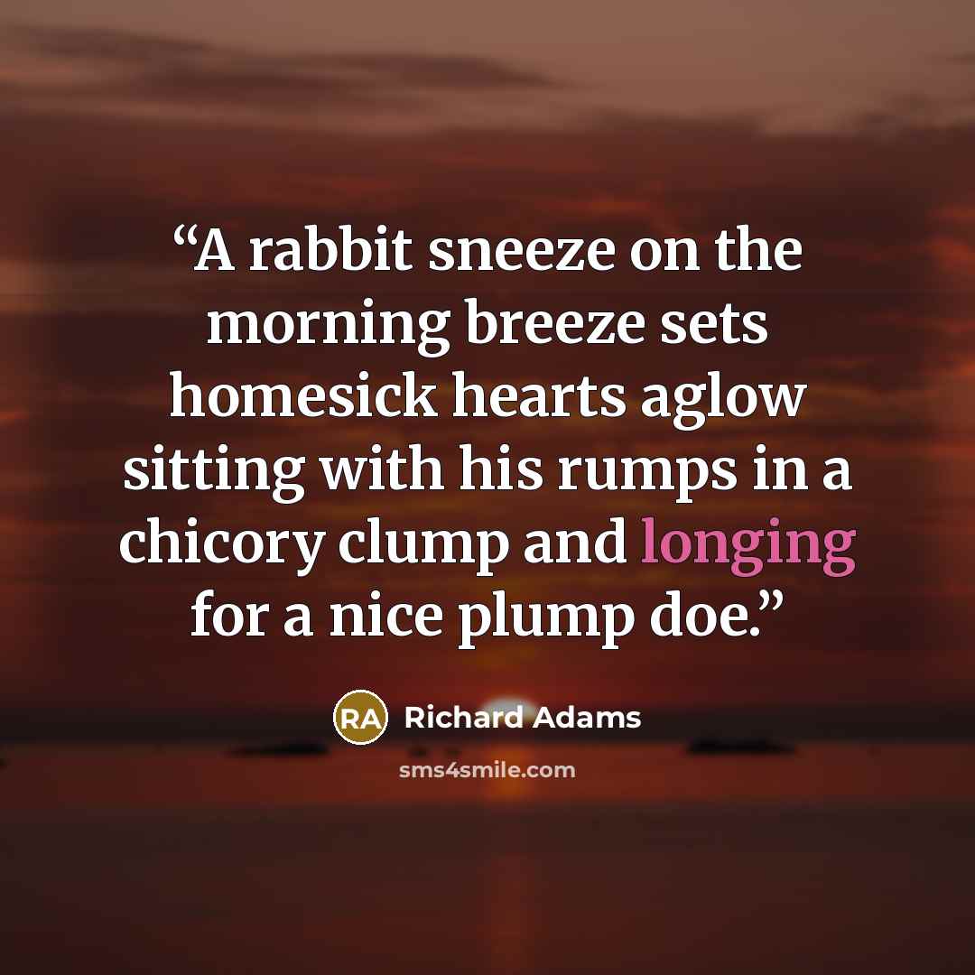 “A rabbit sneeze on the morning breeze sets homesick hearts aglow sitting with his rumps in a chicory clump and longing for a nice plump doe.” quote by Richard Adams
