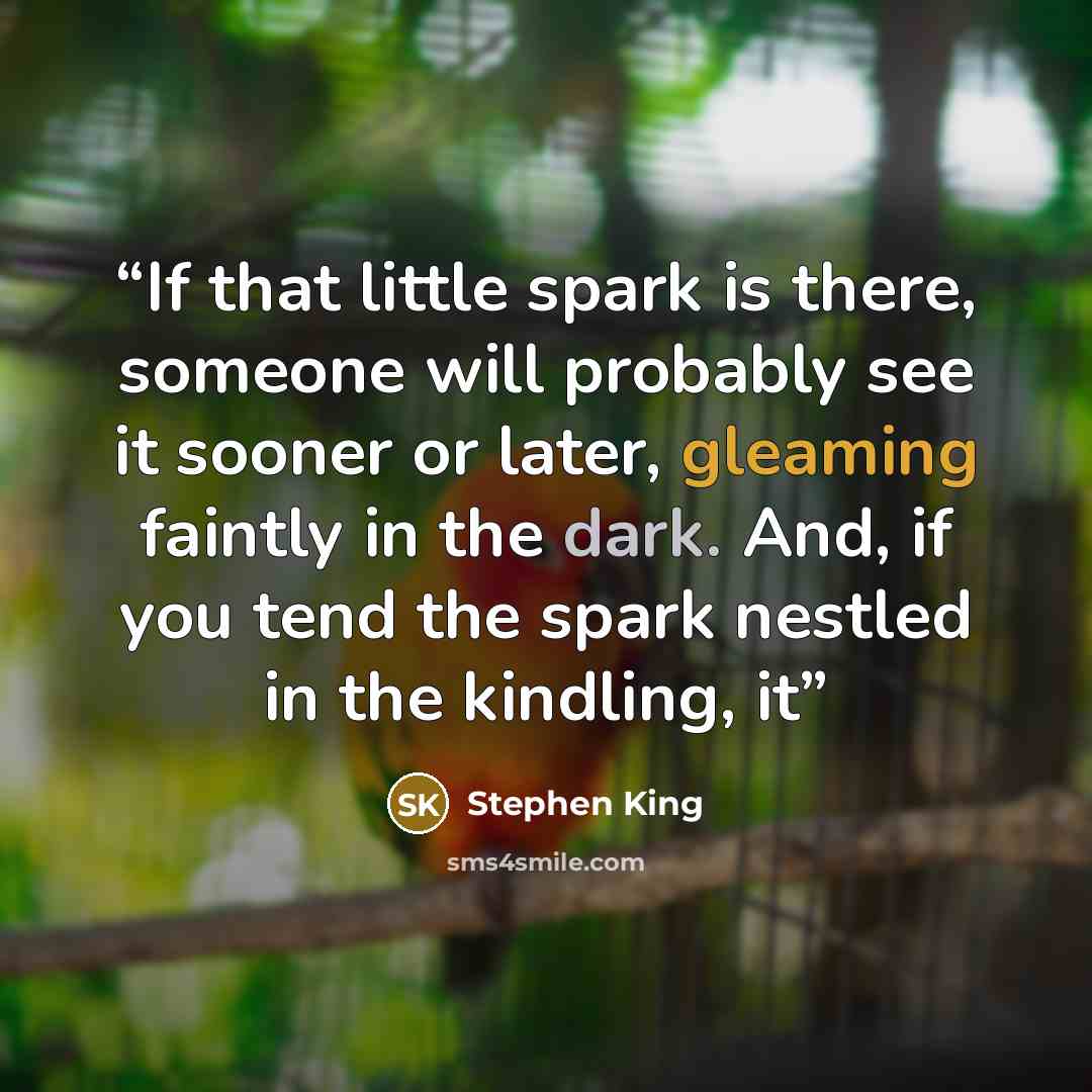 “If that little spark is there, someone will probably see it sooner or later, gleaming faintly in the dark. And, if you tend the spark nestled in the kindling, it” quote by Stephen King