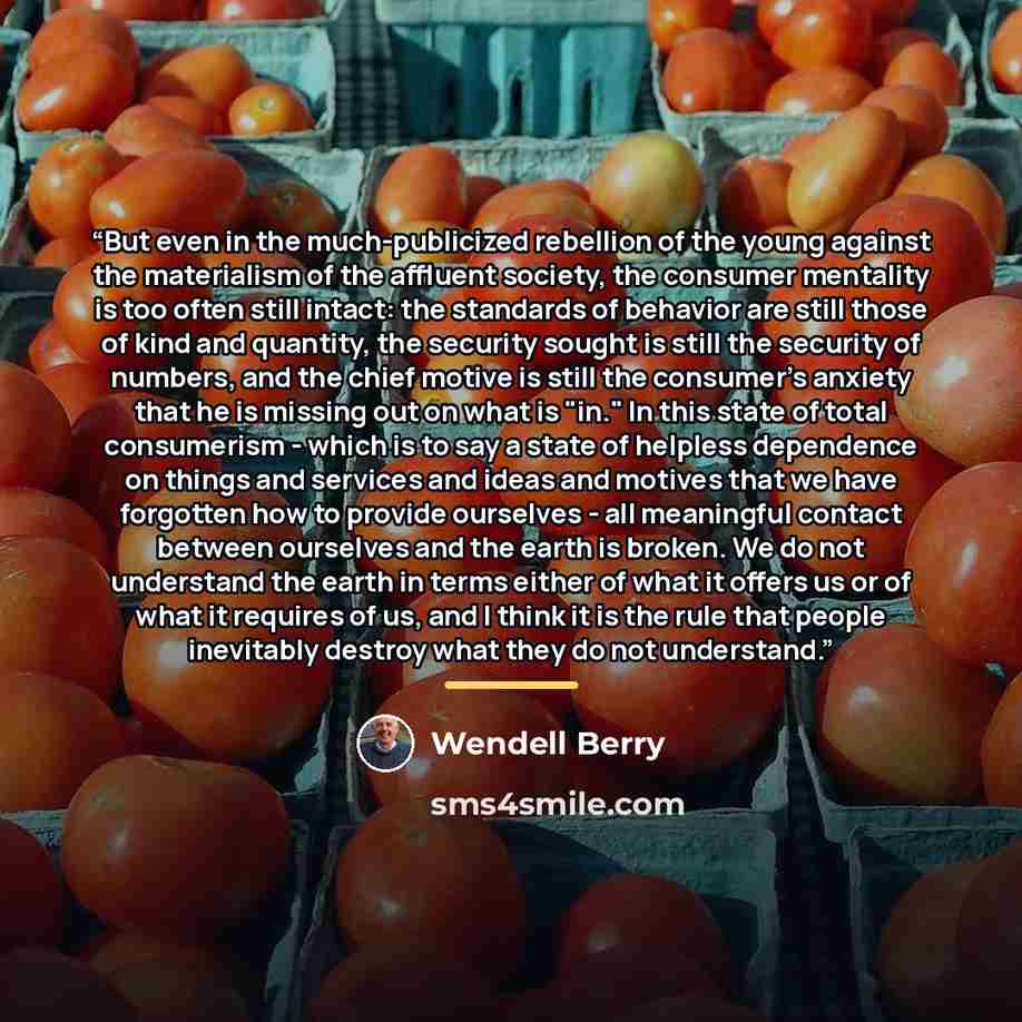 “But even in the much-publicized rebellion of the young against the materialism of the affluent society, the consumer mentality is too often still intact: the standards of behavior are still those of kind and quantity, the security sought is still the security of numbers, and the chief motive is…” quote by Wendell Berry