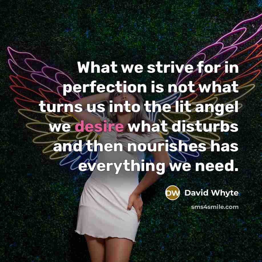 “What we strive for in perfection is not what turns us into the lit angel we desire what disturbs and then nourishes has everything we need.” quote by David Whyte
