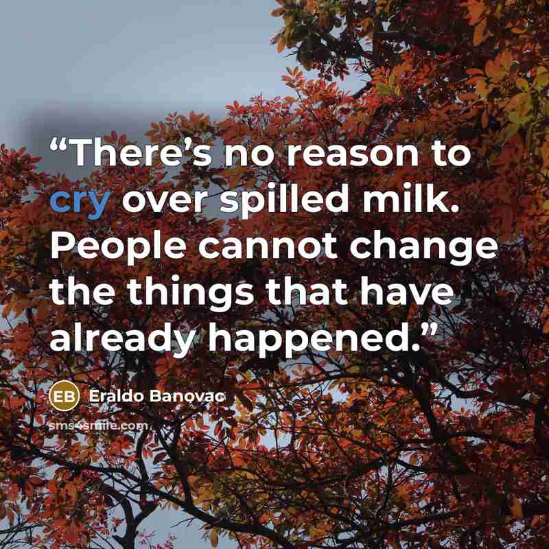 “There’s no reason to cry over spilled milk. People cannot change the things that have already happened.” quote by Eraldo Banovac