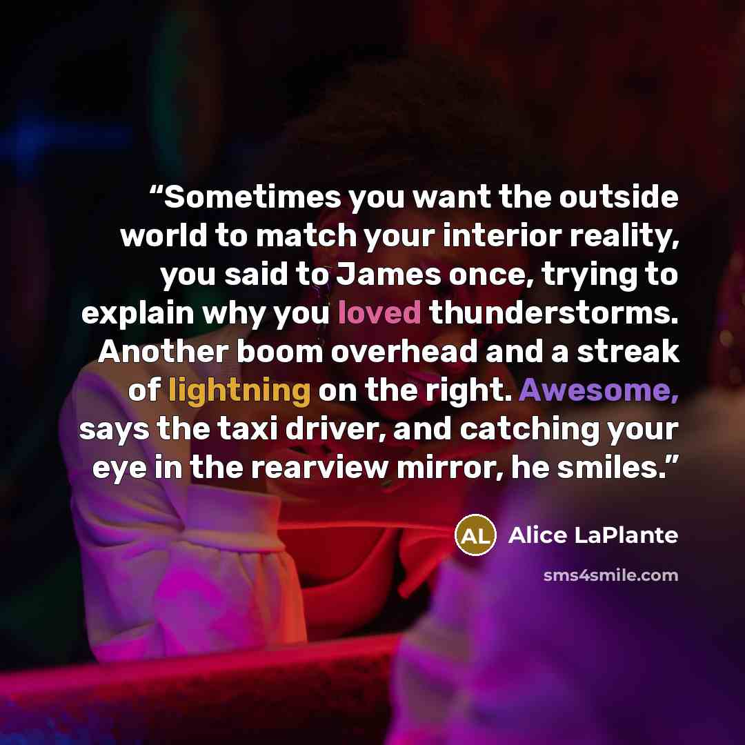 “Sometimes you want the outside world to match your interior reality, you said to James once, trying to explain why you loved thunderstorms. Another boom overhead and a streak of lightning on the right. Awesome, says the taxi driver, and catching your eye in the rearview mirror, he smiles.” quote by Alice LaPlante