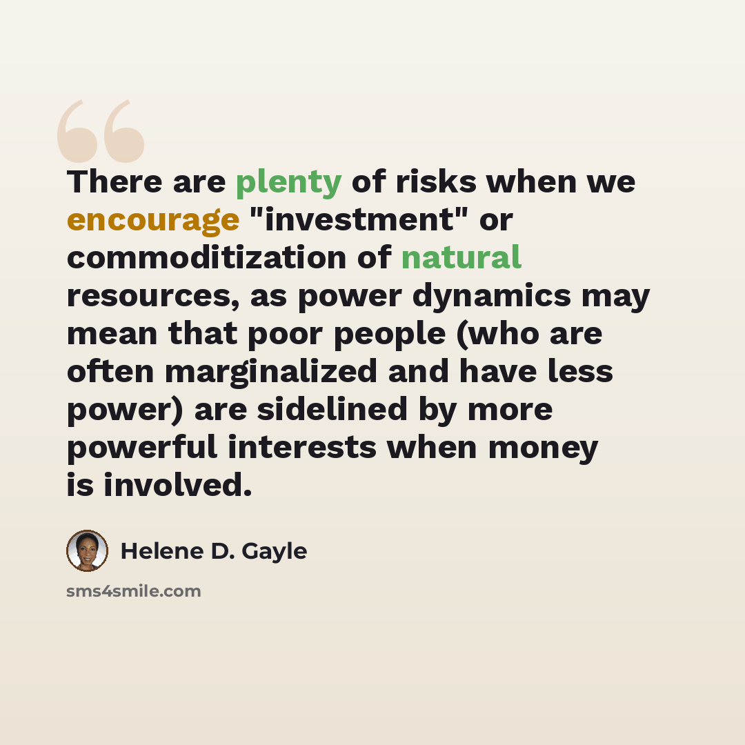 “There are plenty of risks when we encourage "investment" or commoditization of natural resources, as power dynamics may mean that poor people (who are often marginalized and have less power) are sidelined by more powerful interests when money is involved.” quote by Helene D. Gayle