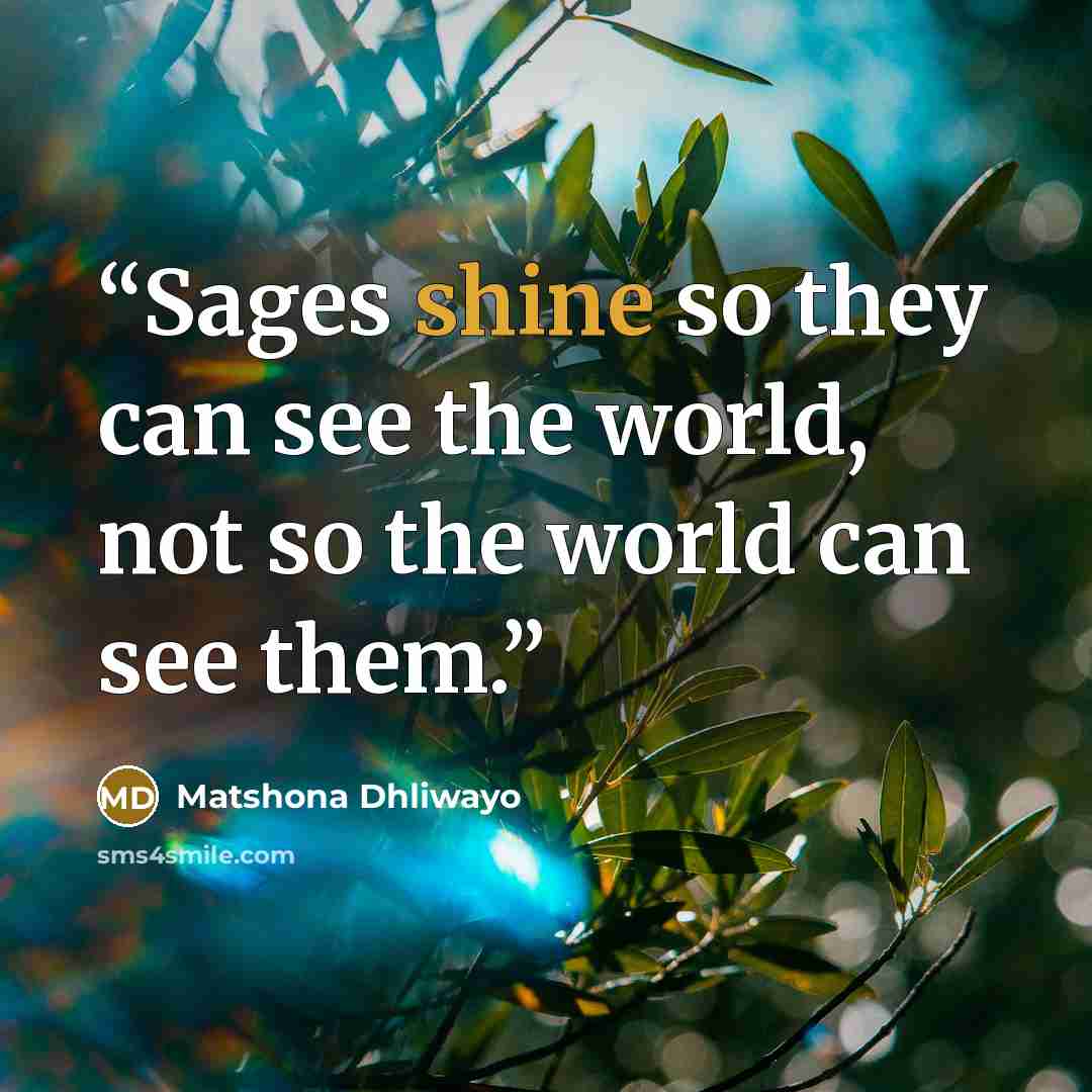 “Sages shine so they can see the world, not so the world can see them.” quote by Matshona Dhliwayo