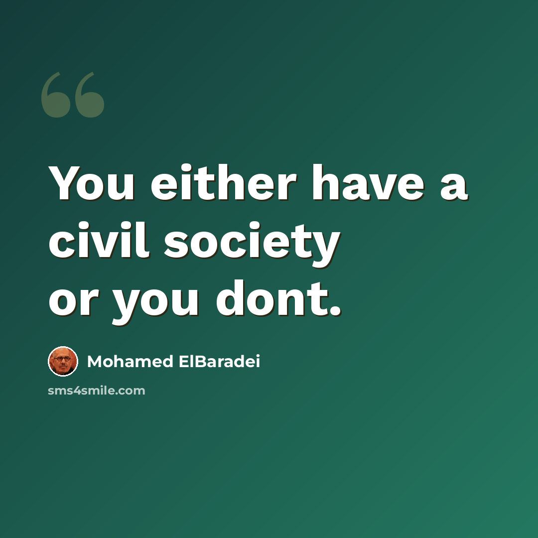 “You either have a civil society or you dont.” quote by Mohamed ElBaradei
