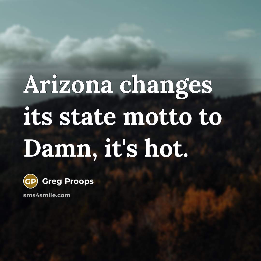 “Arizona changes its state motto to Damn, it's hot.” quote by Greg Proops