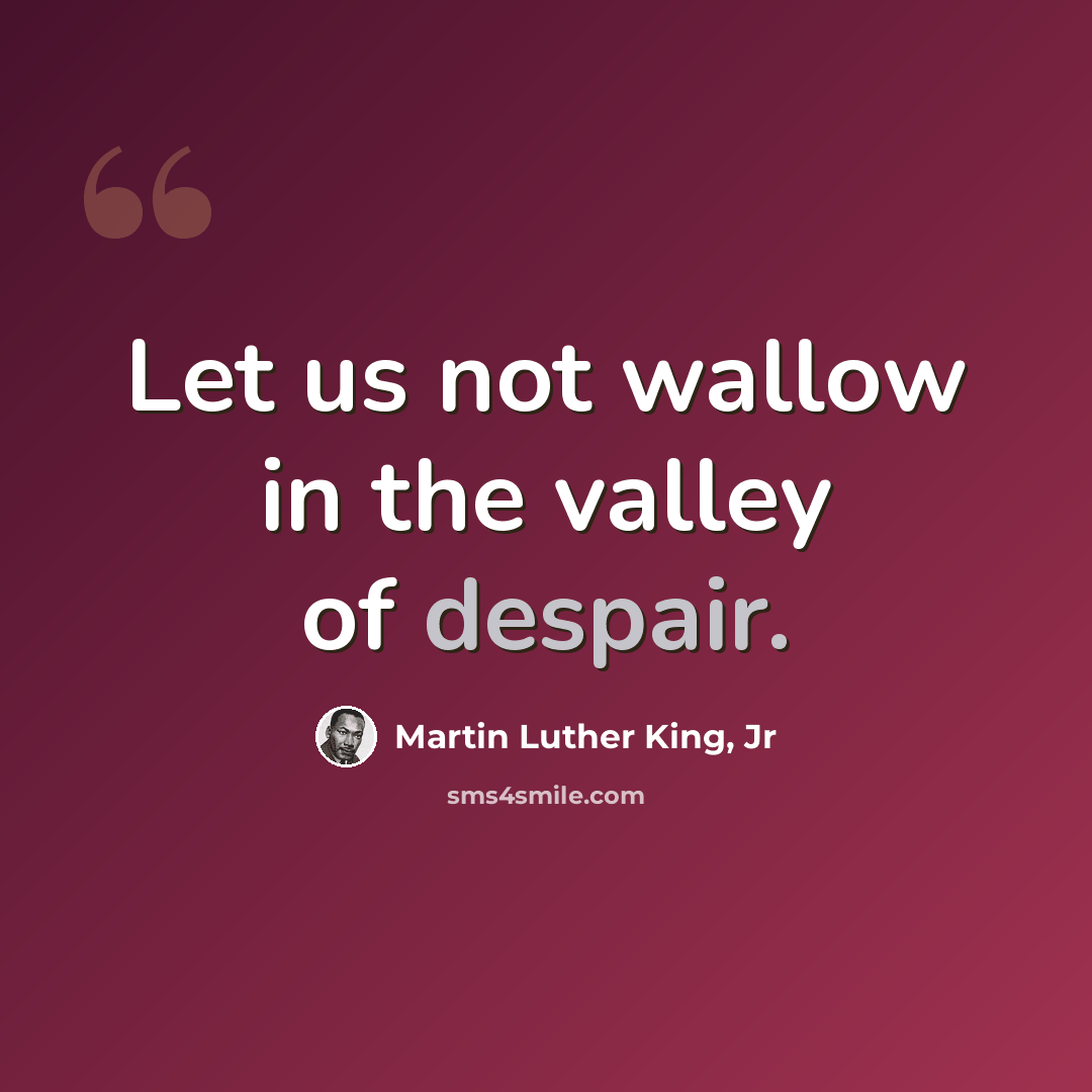 “Let us not wallow in the valley of despair.” quote by Martin Luther King, Jr