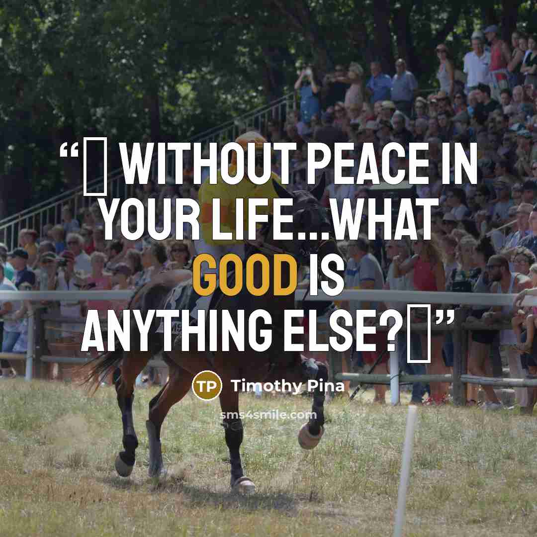 “❤ Without peace in your life…what good is anything else?✌” quote by Timothy Pina