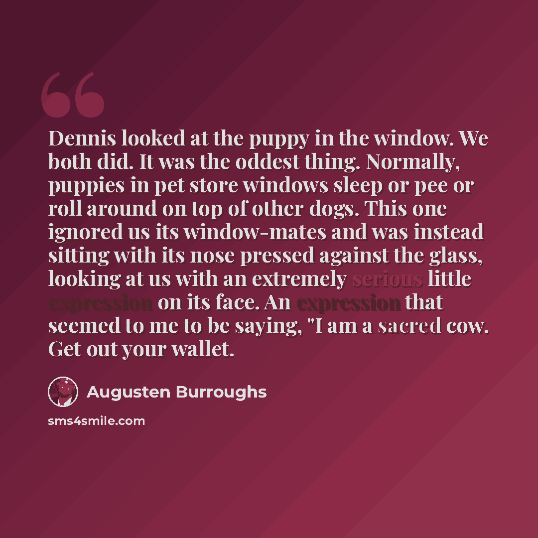 “Dennis looked at the puppy in the window. We both did. It was the oddest thing. Normally, puppies in pet store windows sleep or pee or roll around on top of other dogs. This one ignored us its window-mates and was instead sitting with its nose pressed against the glass, looking at us with an…” quote by Augusten Burroughs