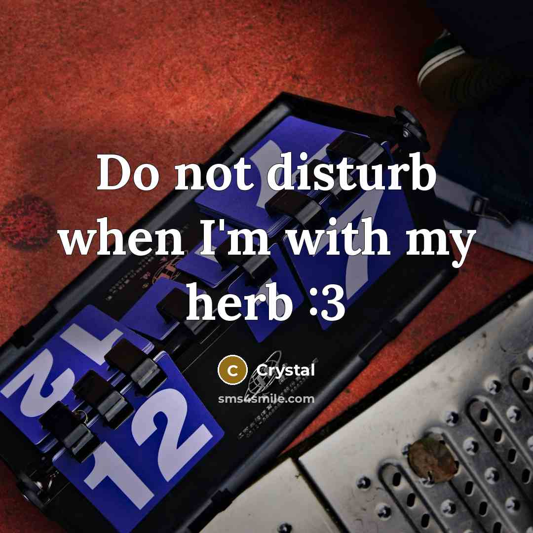 “Do not disturb when I'm with my herb :3” quote by Crystal
