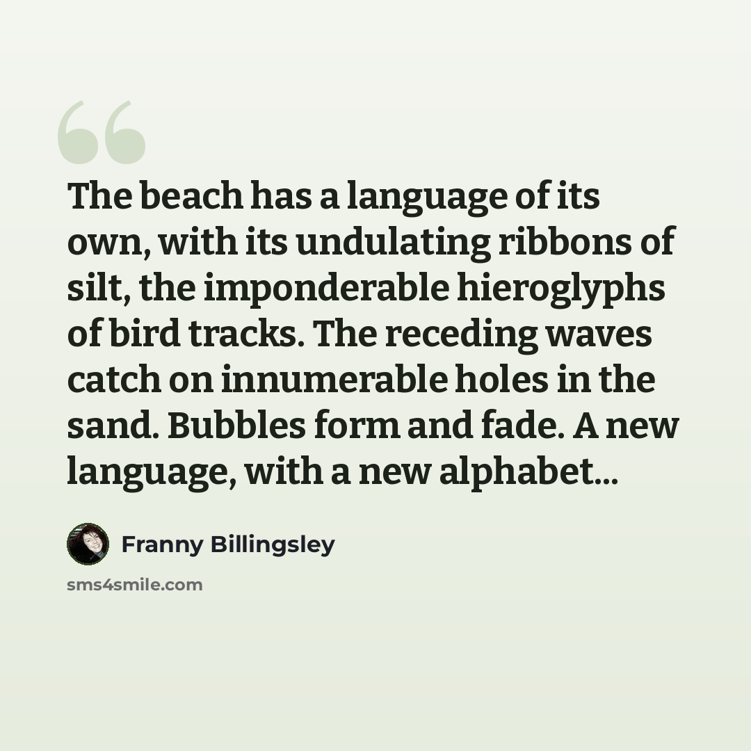 “The beach has a language of its own, with its undulating ribbons of silt, the imponderable hieroglyphs of bird tracks. The receding waves catch on innumerable holes in the sand. Bubbles form and fade. A new language, with a new alphabet...” quote by Franny Billingsley