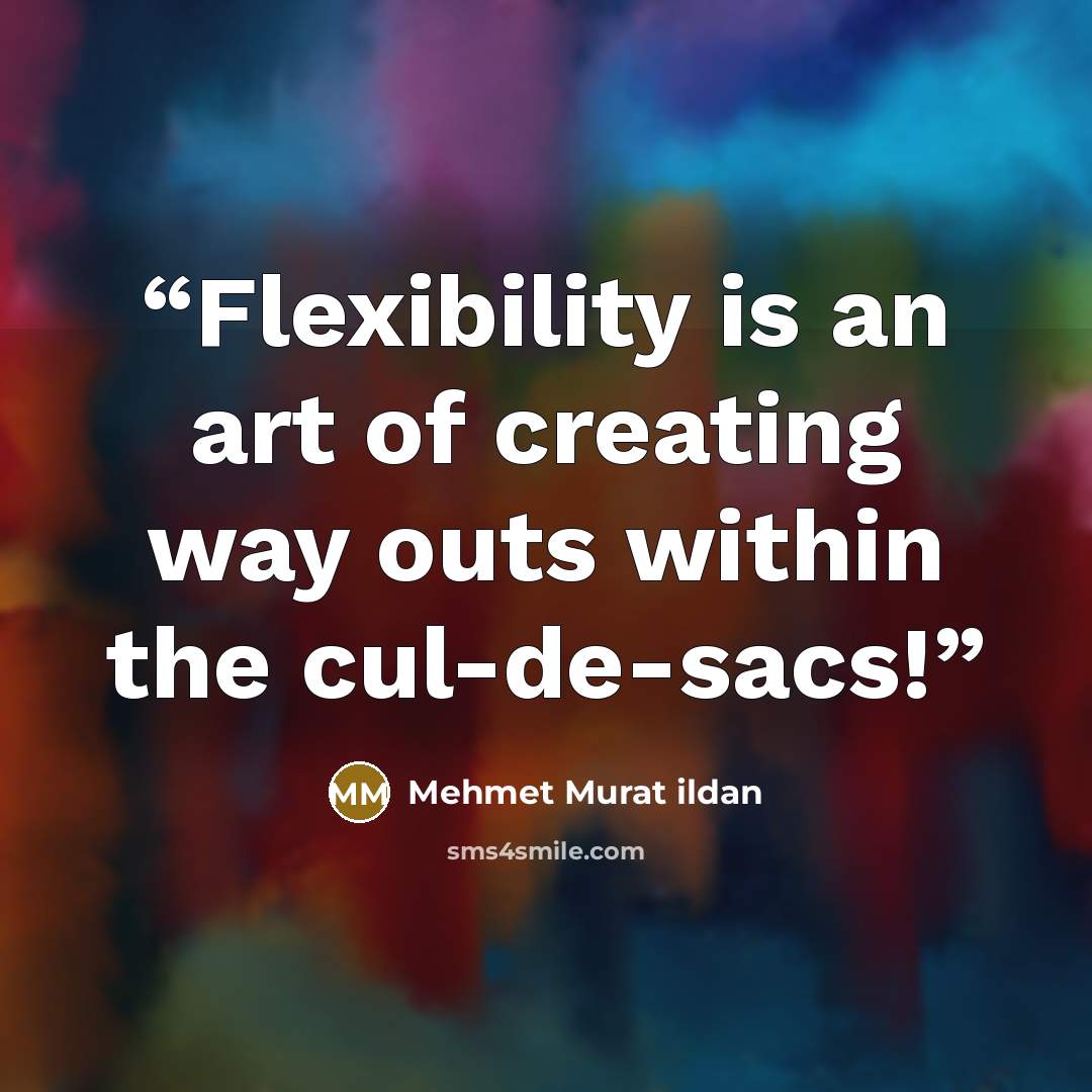 “Flexibility is an art of creating way outs within the cul-de-sacs!” quote by Mehmet Murat ildan