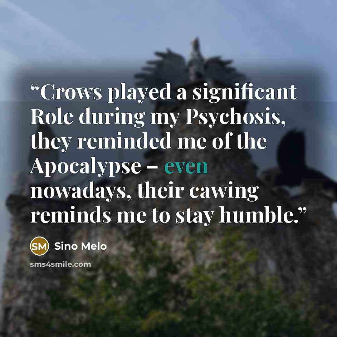 “Crows played a significant Role during my Psychosis, they reminded me of the Apocalypse – even nowadays, their cawing reminds me to stay humble.” quote by Sino Melo