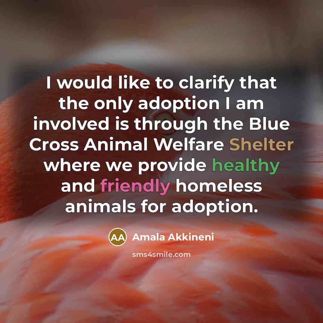 “I would like to clarify that the only adoption I am involved is through the Blue Cross Animal Welfare Shelter where we provide healthy and friendly homeless animals for adoption.” quote by Amala Akkineni