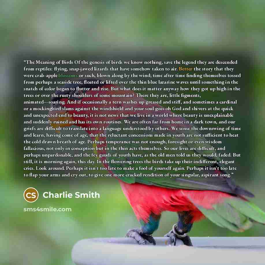 “The Meaning of Birds Of the genesis of birds we know nothing, save the legend they are descended from reptiles: flying, snap-jawed lizards that have somehow taken to air. Better the story that they were crab-apple blossoms or such, blown along by the wind; time after time finding themselves tossed…” quote by Charlie Smith