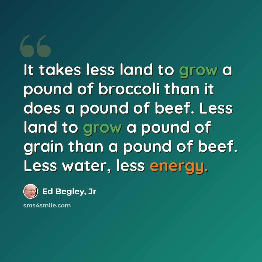 “It takes less land to grow a pound of broccoli than it does a pound of beef. Less land to grow a pound of grain than a pound of beef. Less water, less energy.” quote by Ed Begley, Jr