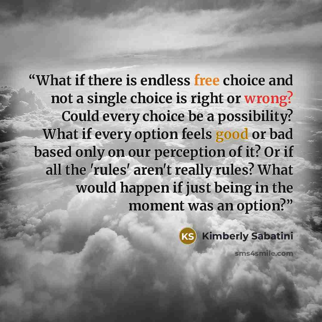 “What if there is endless free choice and not a single choice is right or wrong? Could every choice be a possibility? What if every option feels good or bad based only on our perception of it? Or if all the 'rules' aren't really rules? What would happen if just being in the moment was an option?” quote by Kimberly Sabatini
