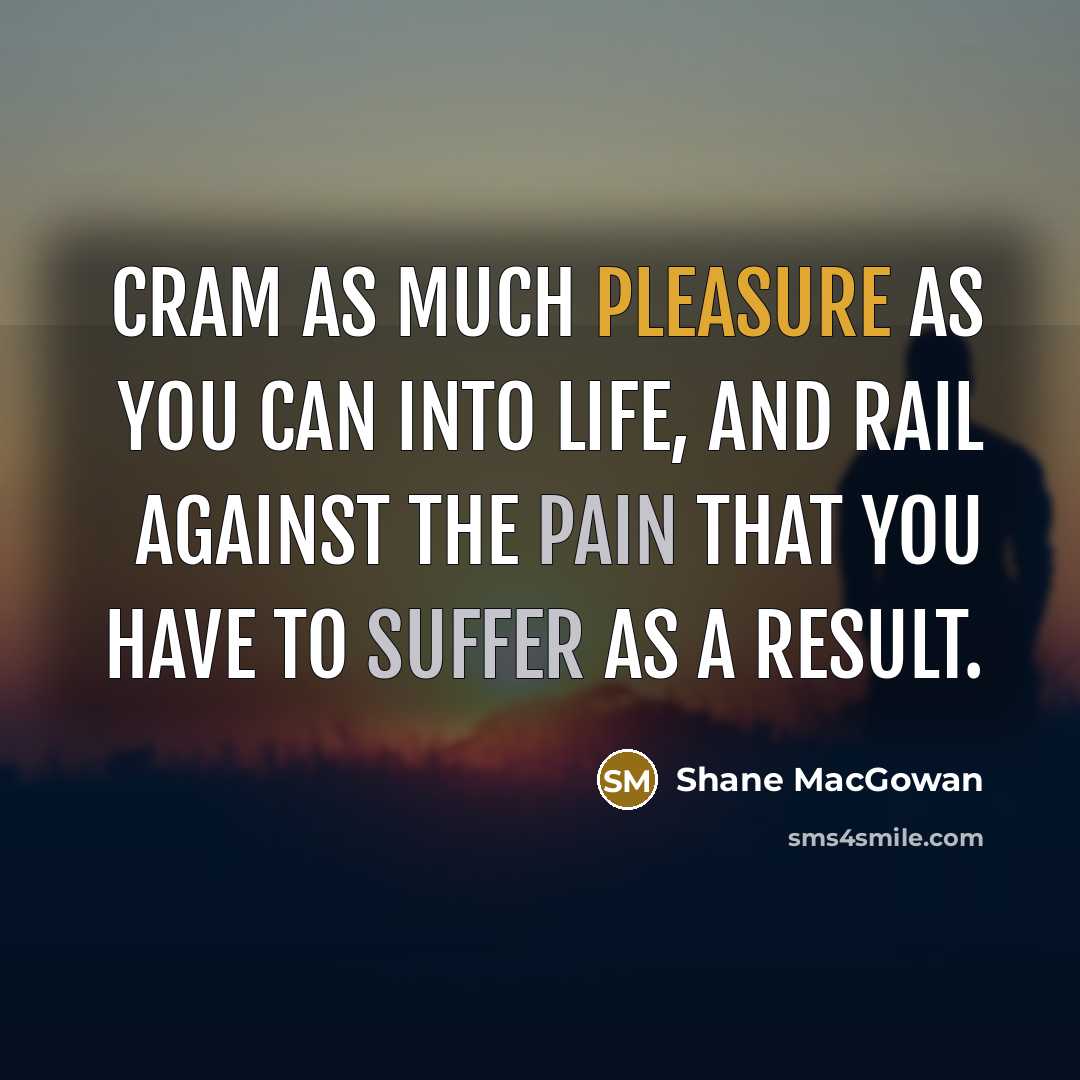 “Cram as much pleasure as you can into life, and rail against the pain that you have to suffer as a result.” quote by Shane MacGowan