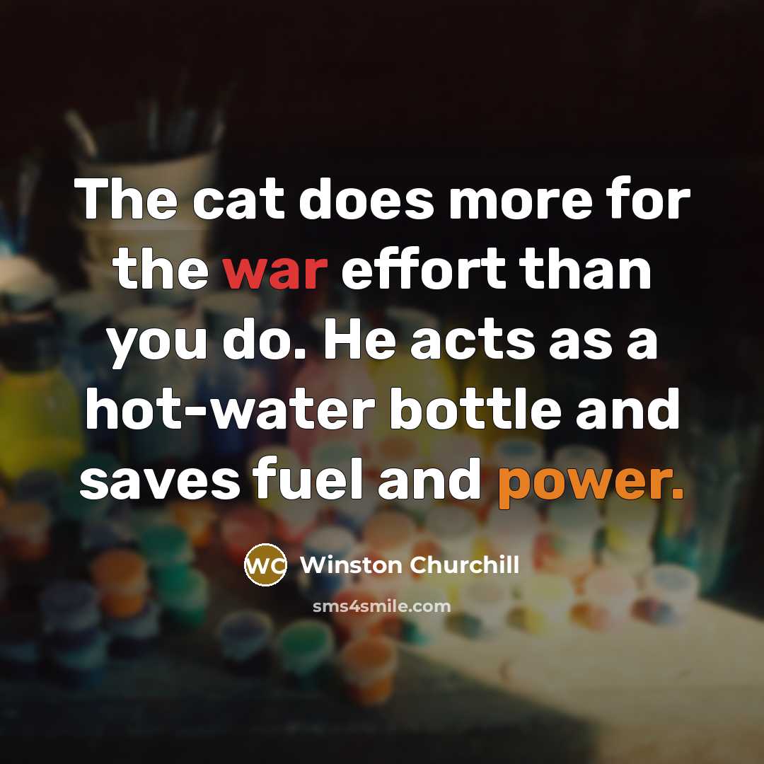 “The cat does more for the war effort than you do. He acts as a hot-water bottle and saves fuel and power.” quote by Winston Churchill
