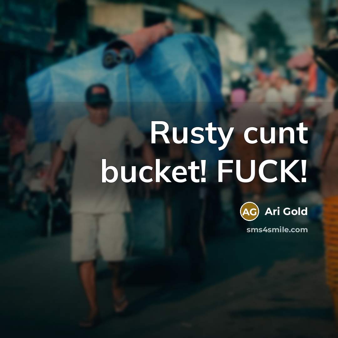 “Rusty cunt bucket! FUCK!” quote by Ari Gold