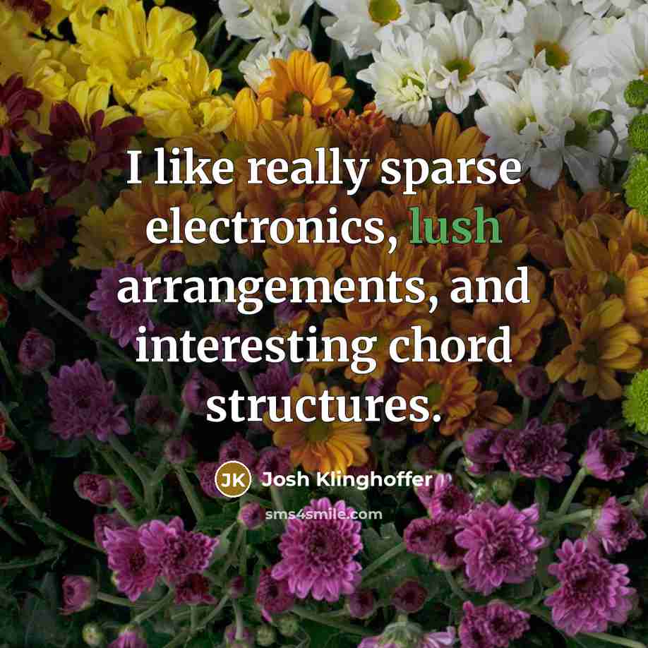 “I like really sparse electronics, lush arrangements, and interesting chord structures.” quote by Josh Klinghoffer