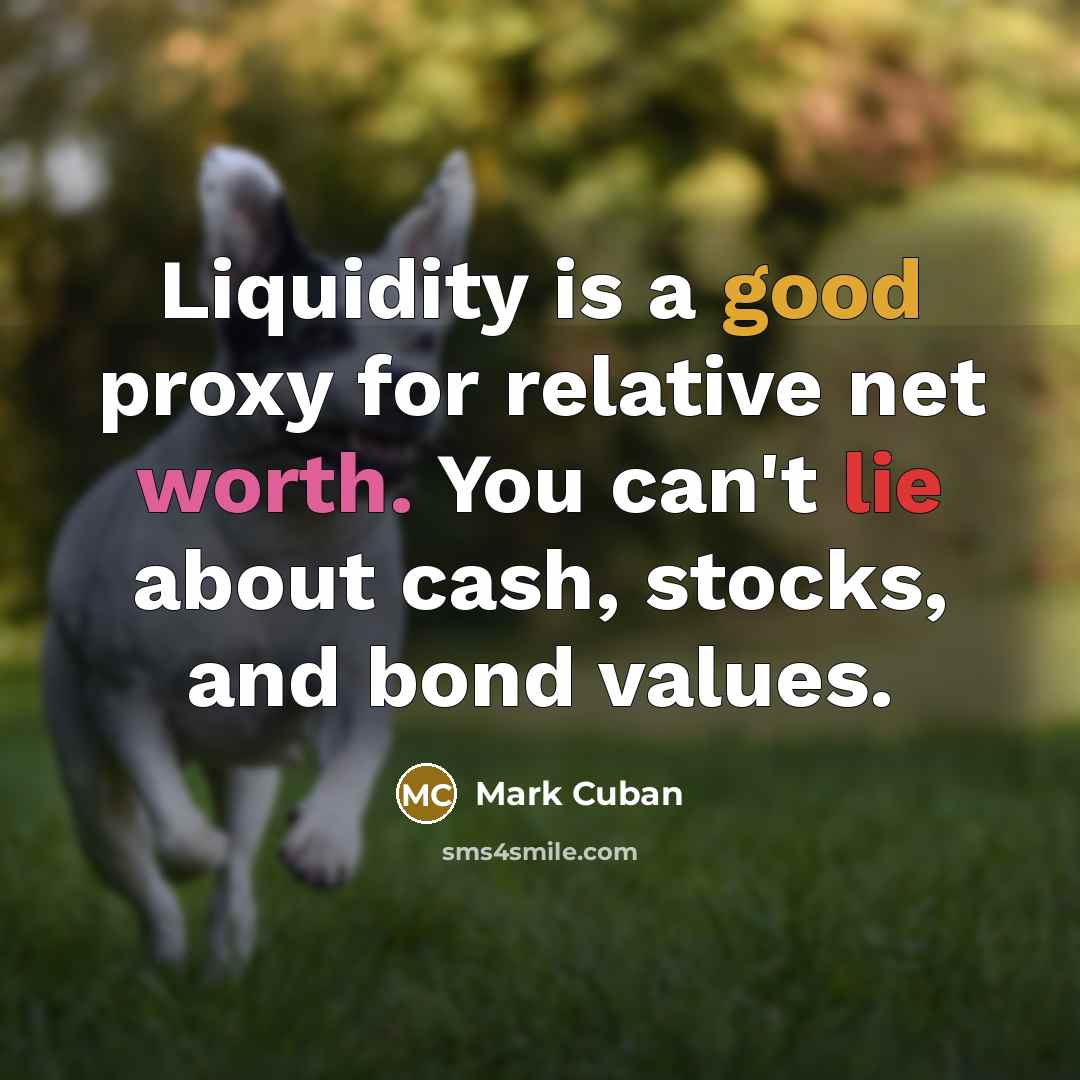“Liquidity is a good proxy for relative net worth. You can't lie about cash, stocks, and bond values.” quote by Mark Cuban