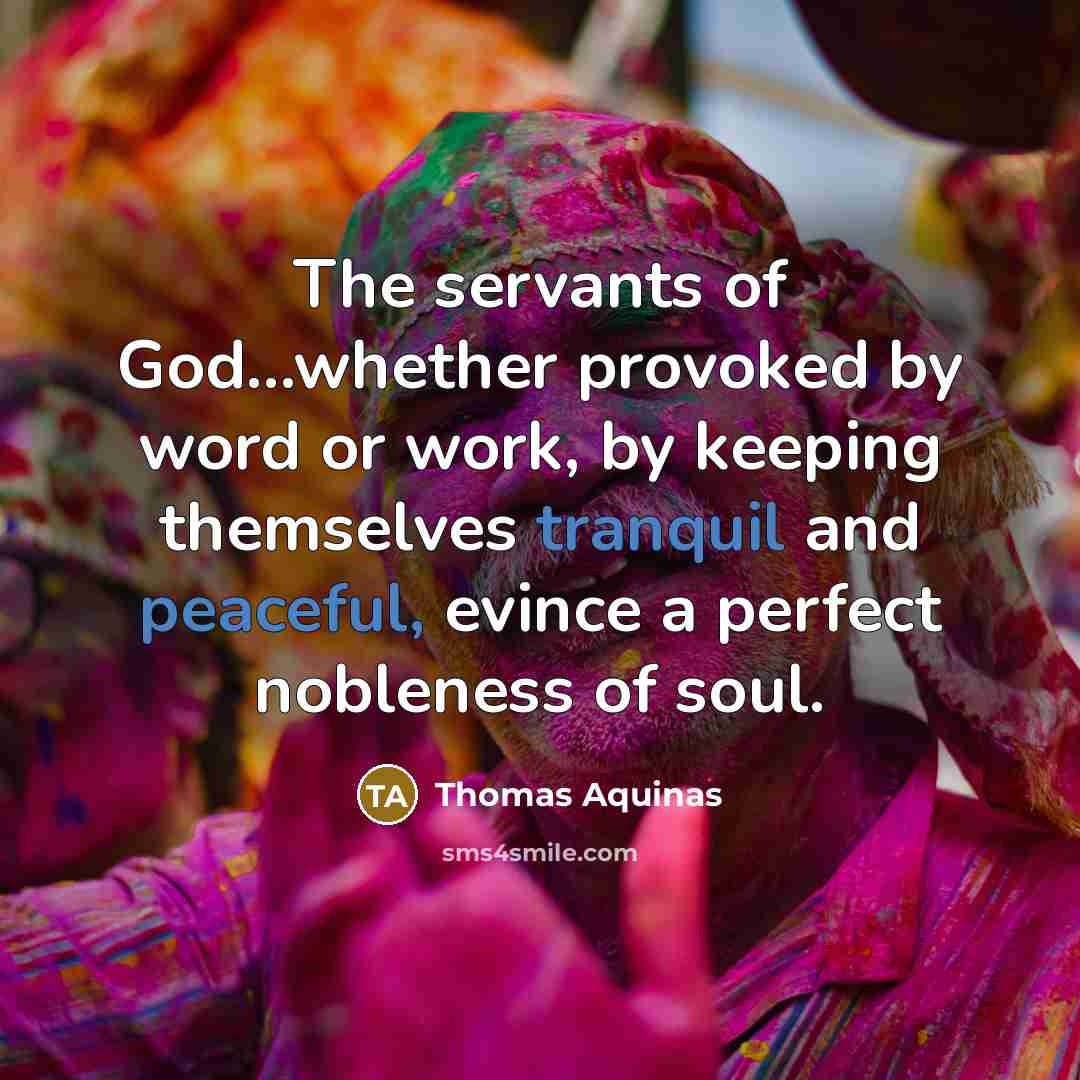 “The servants of God...whether provoked by word or work, by keeping themselves tranquil and peaceful, evince a perfect nobleness of soul.” quote by Thomas Aquinas