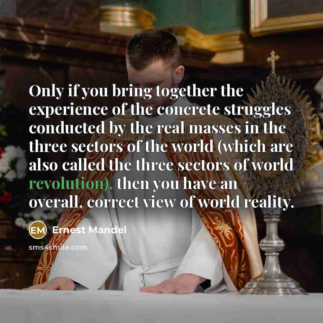 “Only if you bring together the experience of the concrete struggles conducted by the real masses in the three sectors of the world (which are also called the three sectors of world revolution), then you have an overall, correct view of world reality.” quote by Ernest Mandel