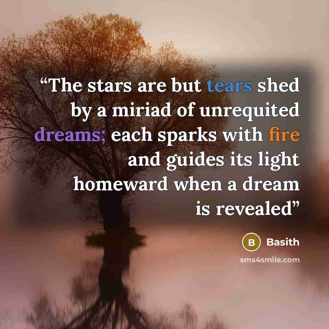 “The stars are but tears shed by a miriad of unrequited dreams; each sparks with fire and guides its light homeward when a dream is revealed” quote by Basith