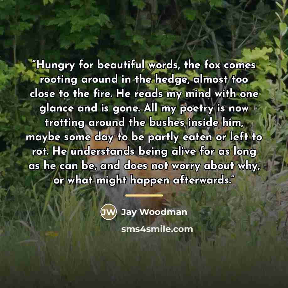 “Hungry for beautiful words, the fox comes rooting around in the hedge, almost too close to the fire. He reads my mind with one glance and is gone. All my poetry is now trotting around the bushes inside him, maybe some day to be partly eaten or left to rot. He understands being alive for as long as…” quote by Jay Woodman
