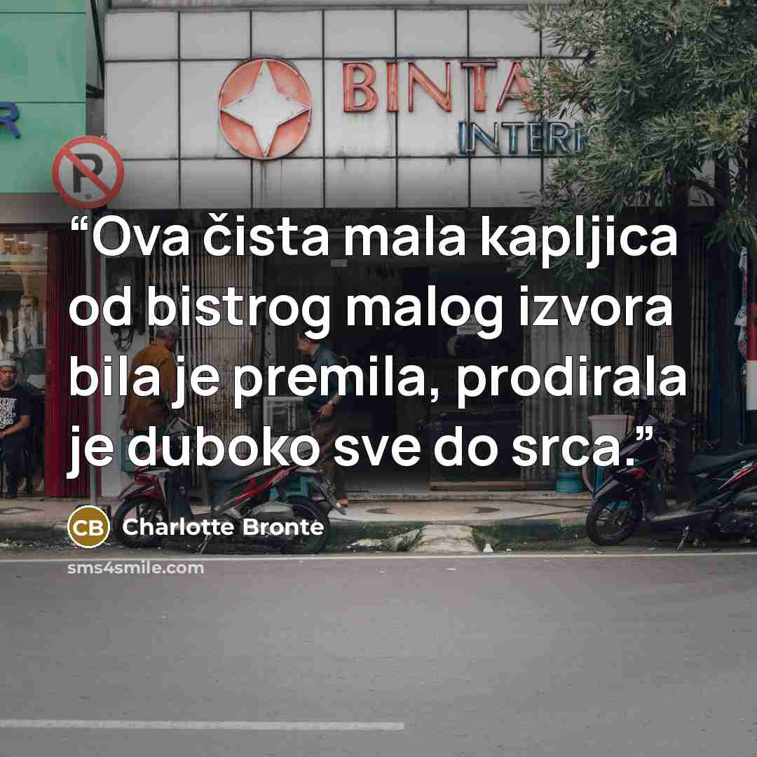“Ova čista mala kapljica od bistrog malog izvora bila je premila, prodirala je duboko sve do srca.” quote by Charlotte Brontë