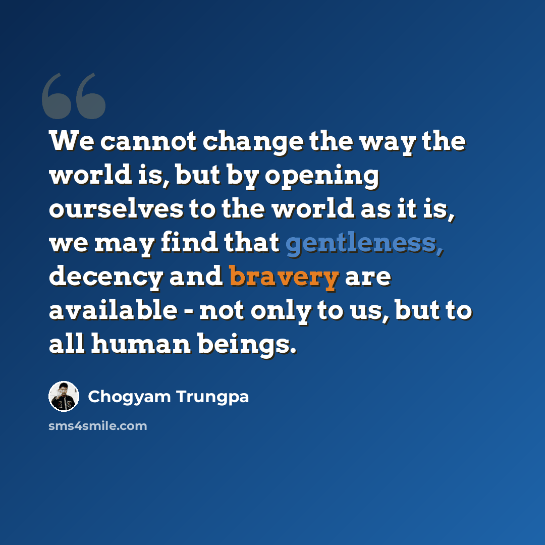“We cannot change the way the world is, but by opening ourselves to the world as it is, we may find that gentleness, decency and bravery are available - not only to us, but to all human beings.” quote by Chogyam Trungpa
