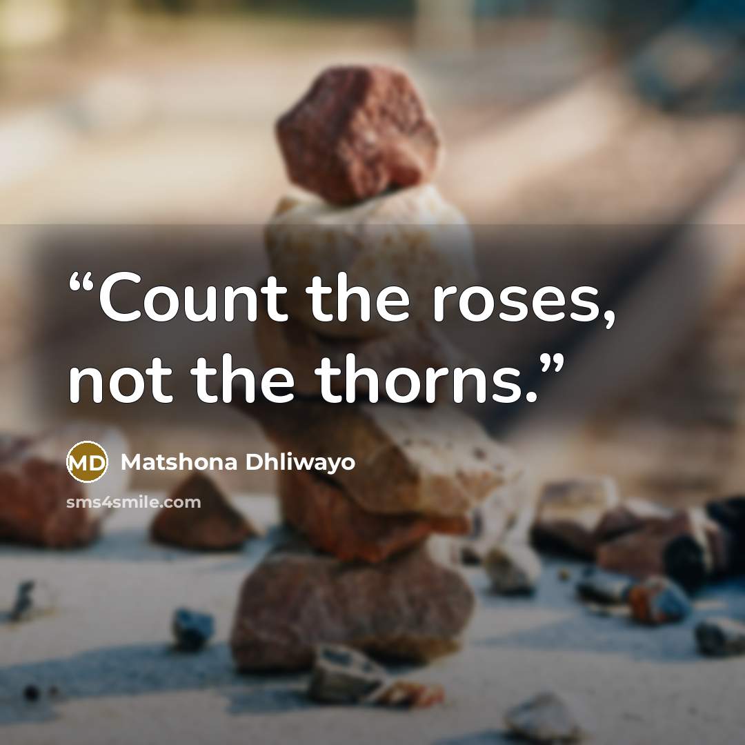 “Count the roses, not the thorns.” quote by Matshona Dhliwayo