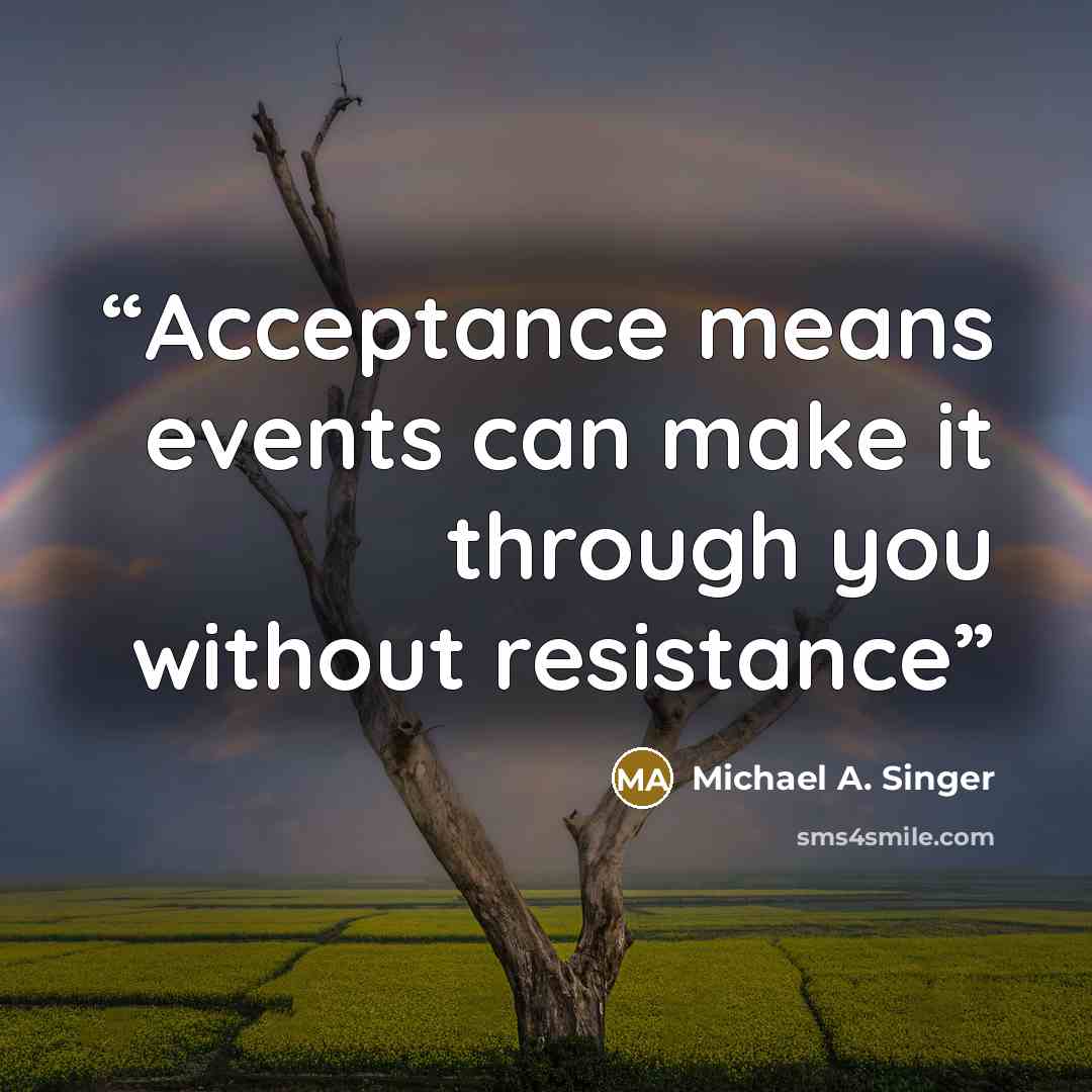 “Acceptance means events can make it through you without resistance” quote by Michael A. Singer