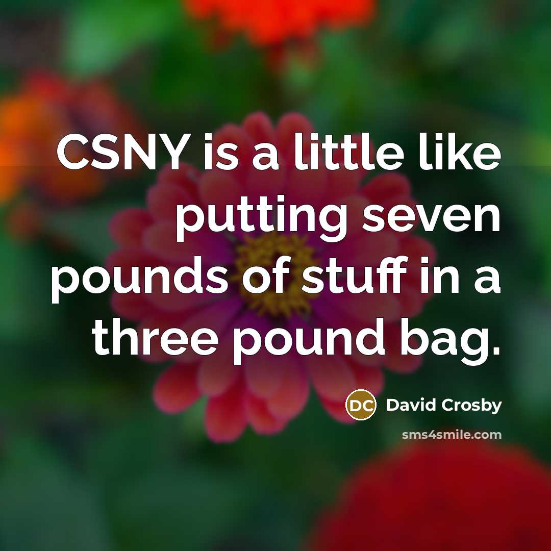 “CSNY is a little like putting seven pounds of stuff in a three pound bag.” quote by David Crosby