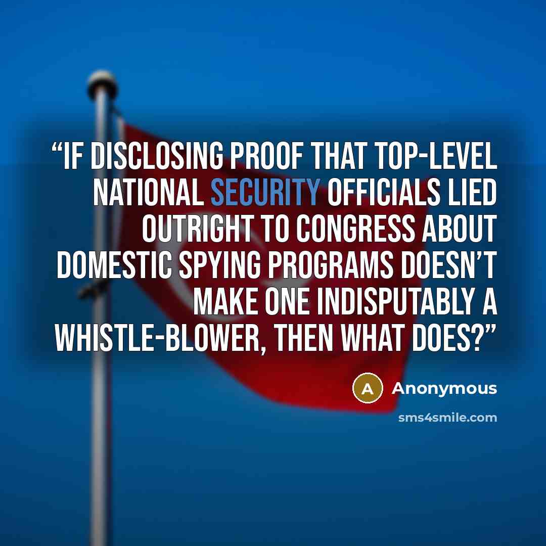 “If disclosing proof that top-level national security officials lied outright to Congress about domestic spying programs doesn’t make one indisputably a whistle-blower, then what does?” quote by Anonymous