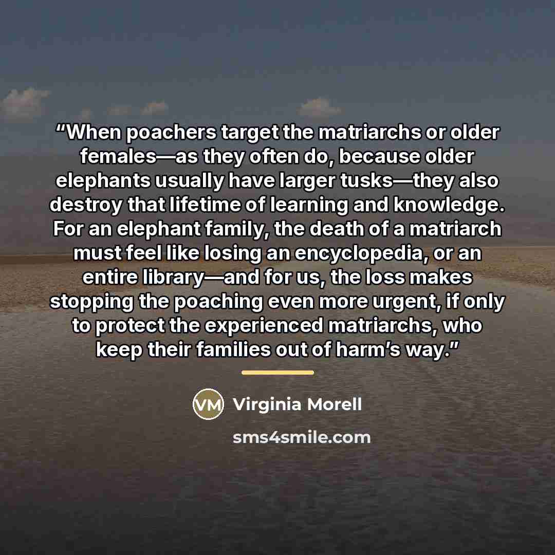 “When poachers target the matriarchs or older females—as they often do, because older elephants usually have larger tusks—they also destroy that lifetime of learning and knowledge. For an elephant family, the death of a matriarch must feel like losing an encyclopedia, or an entire library—and for…” quote by Virginia Morell