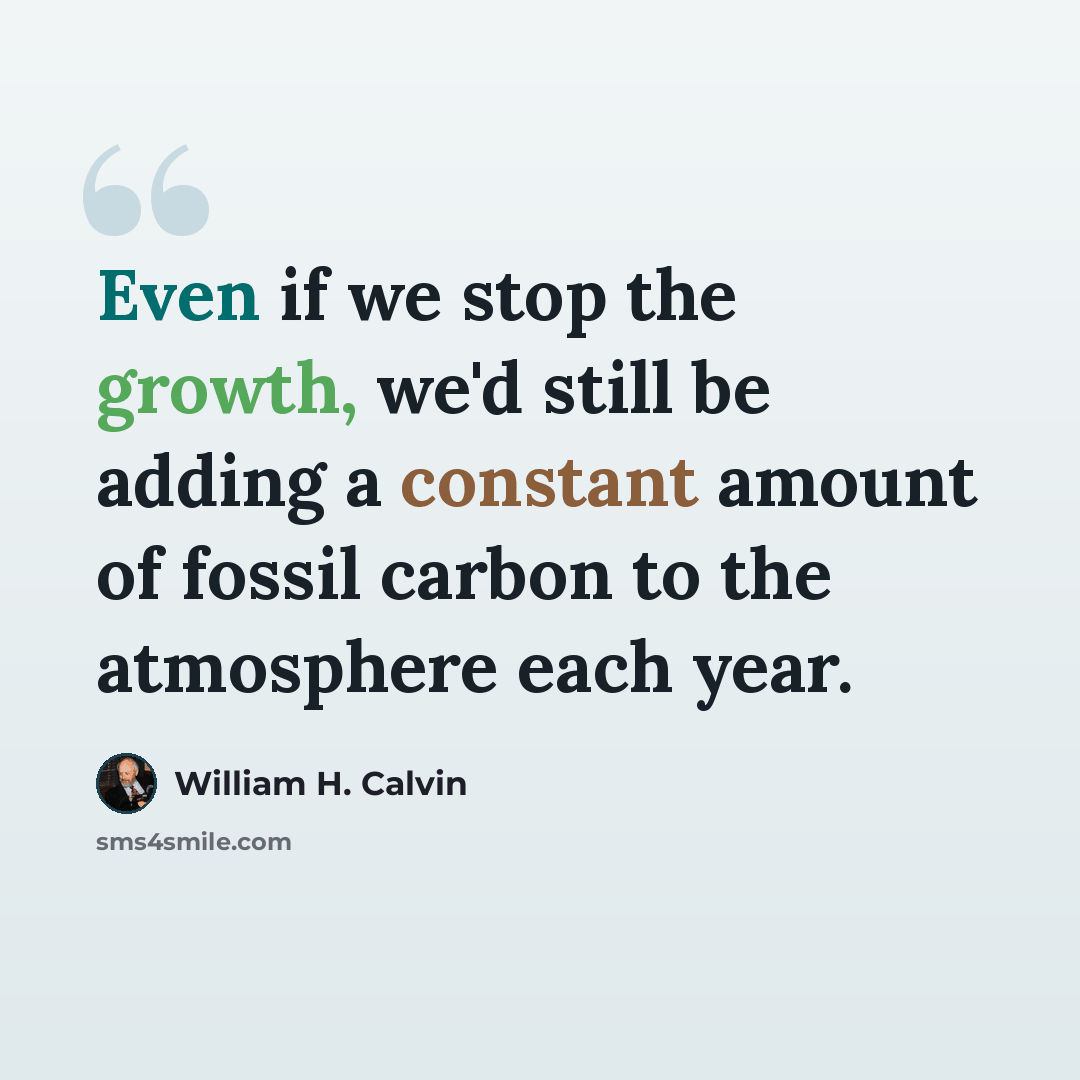 “Even if we stop the growth, we'd still be adding a constant amount of fossil carbon to the atmosphere each year.” quote by William H. Calvin
