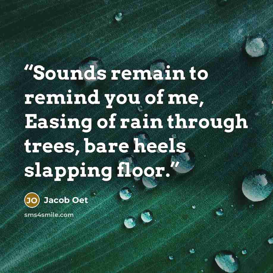 “Sounds remain to remind you of me, Easing of rain through trees, bare heels slapping floor.” quote by Jacob Oet