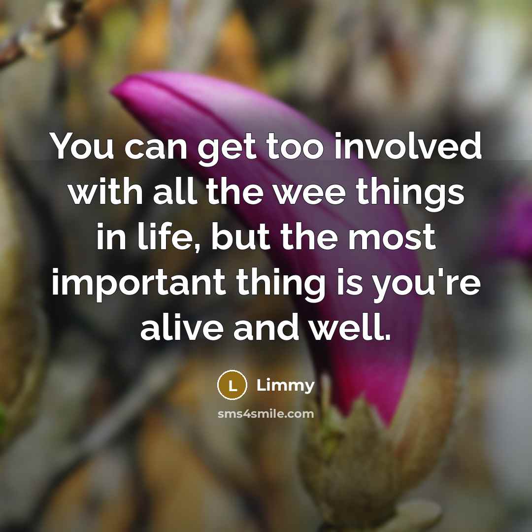 “You can get too involved with all the wee things in life, but the most important thing is you're alive and well.” quote by Limmy