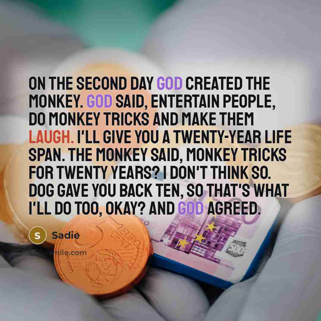 “On the second day God created the monkey. God said, Entertain people, do monkey tricks and make them laugh. I'll give you a twenty-year life span. The monkey said, Monkey tricks for twenty years? I don't think so. Dog gave you back ten, so that's what I'll do too, okay? And God agreed.” quote by Sadie
