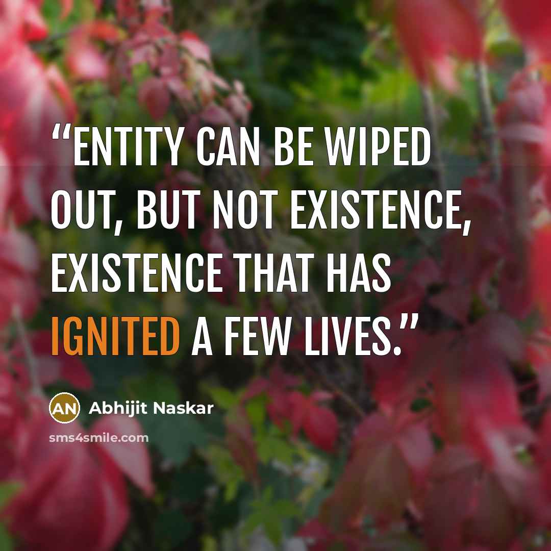 “Entity can be wiped out, but not existence, existence that has ignited a few lives.” quote by Abhijit Naskar