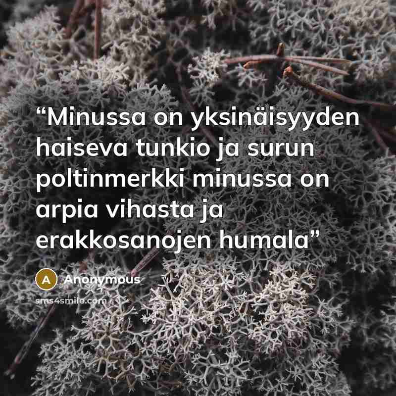 “Minussa on yksinäisyyden haiseva tunkio ja surun poltinmerkki minussa on arpia vihasta ja erakkosanojen humala” quote by Anonymous
