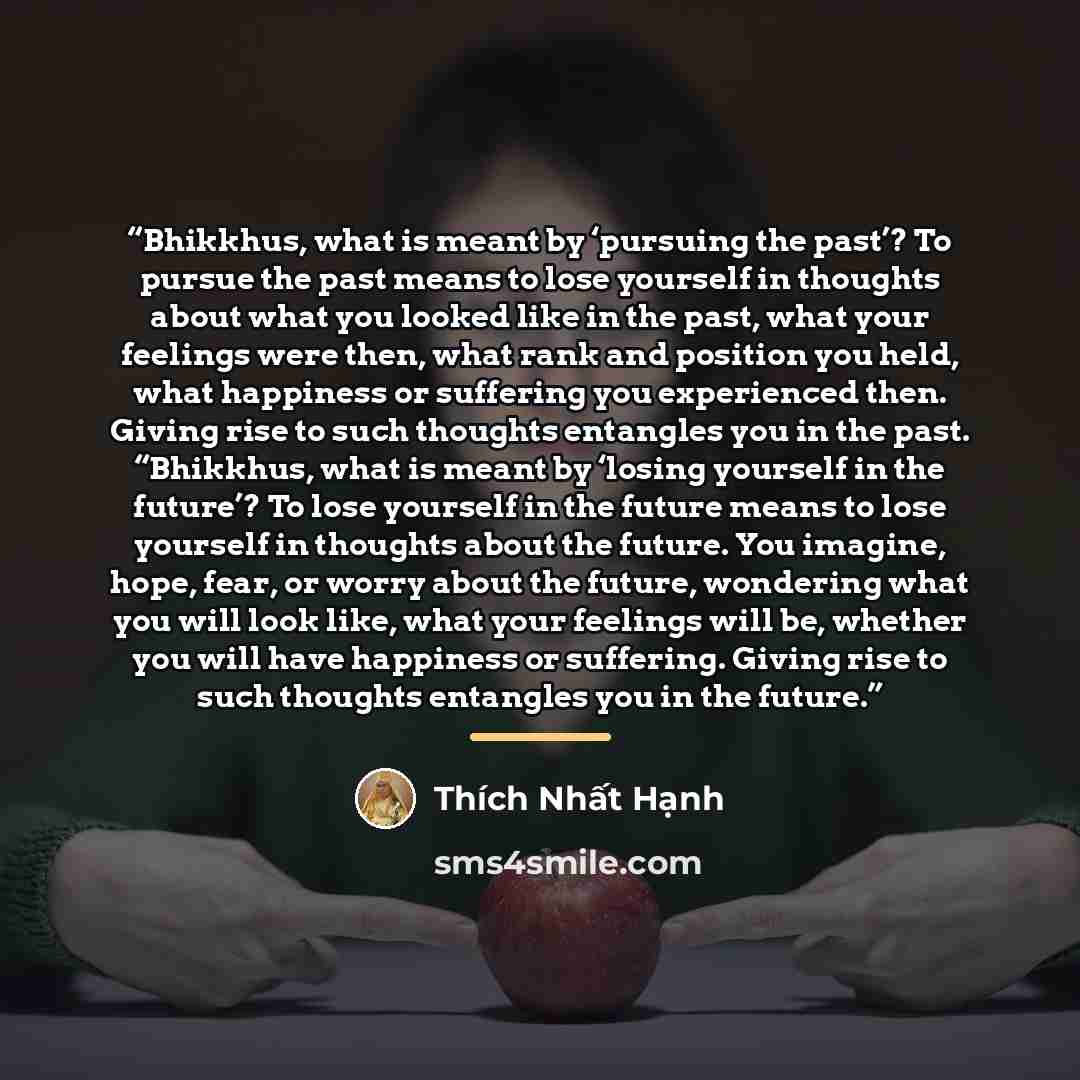 “Bhikkhus, what is meant by ‘pursuing the past’? To pursue the past means to lose yourself in thoughts about what you looked like in the past, what your feelings were then, what rank and position you held, what happiness or suffering you experienced then. Giving rise to such thoughts entangles you…” quote by Thich Nhat Hanh
