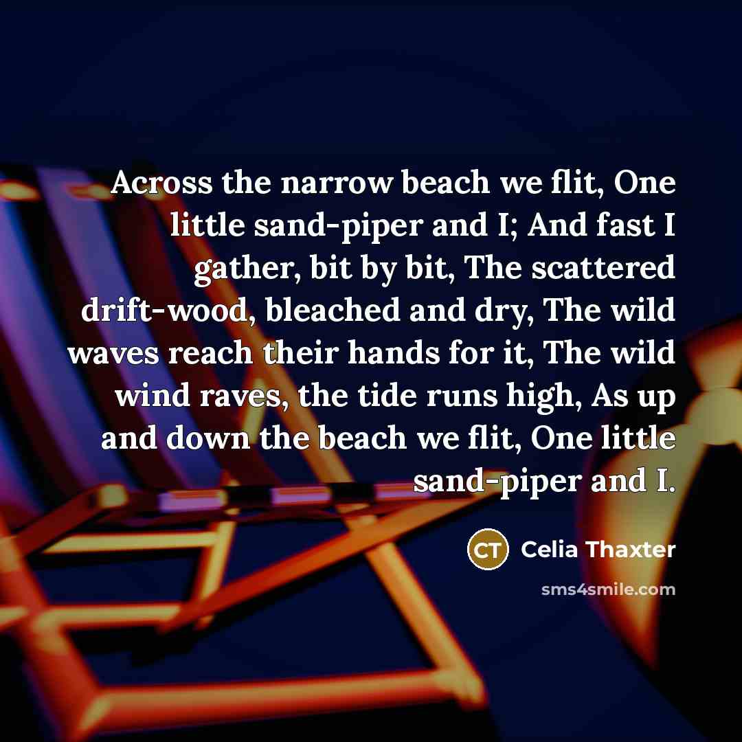 “Across the narrow beach we flit, One little sand-piper and I; And fast I gather, bit by bit, The scattered drift-wood, bleached and dry, The wild waves reach their hands for it, The wild wind raves, the tide runs high, As up and down the beach we flit, One little sand-piper and I.” quote by Celia Thaxter