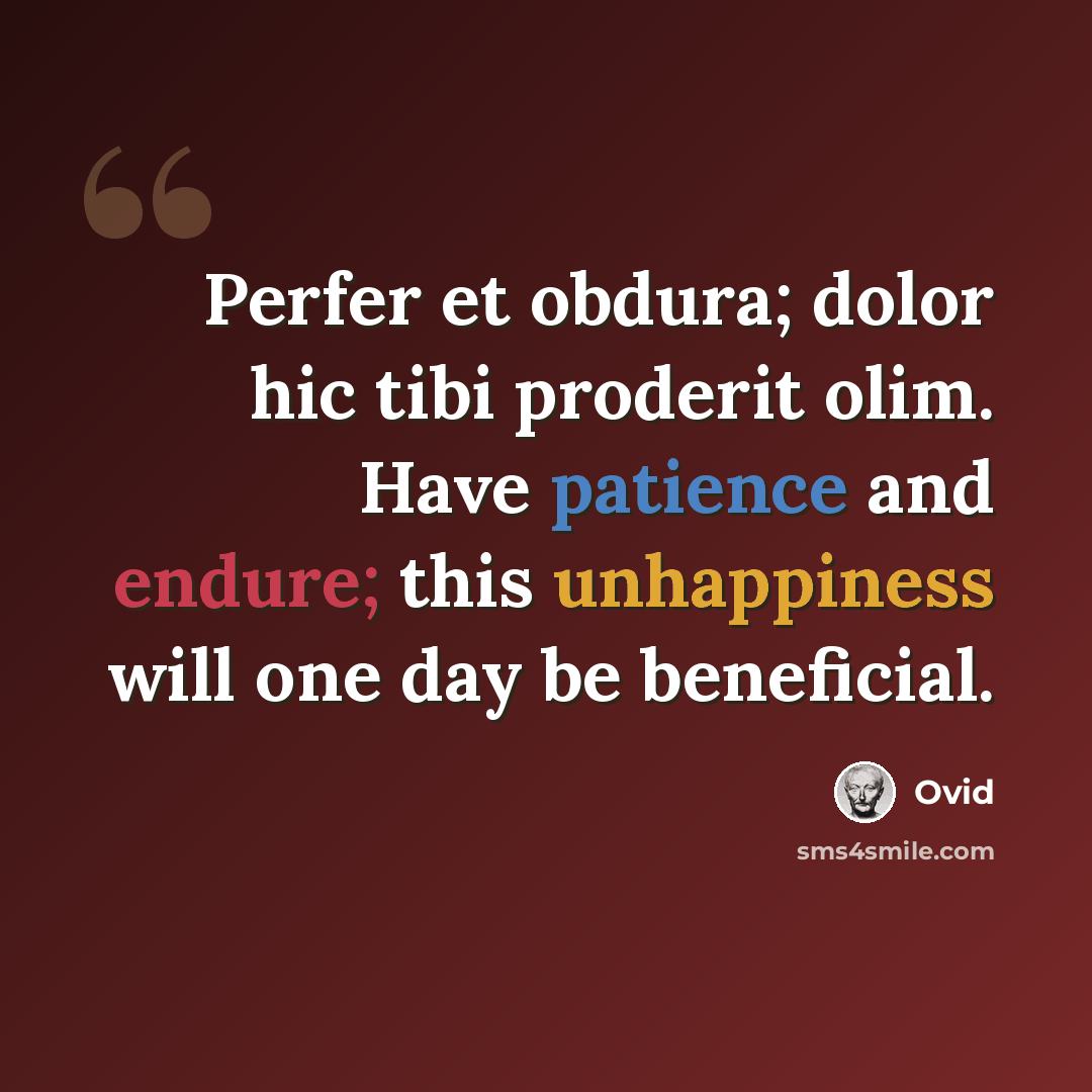 “Perfer et obdura; dolor hic tibi proderit olim. Have patience and endure; this unhappiness will one day be beneficial.” quote by Ovid