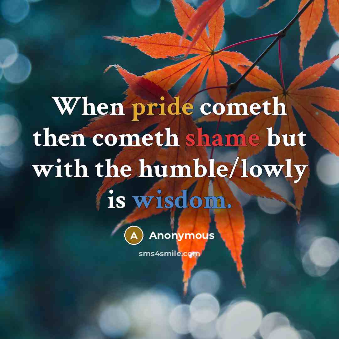 “When pride cometh then cometh shame but with the humble/lowly is wisdom.” quote by Anonymous